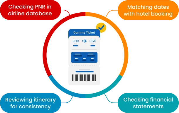 How Embassies Verify Dummy Tickets