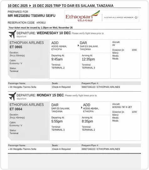 Sample Dummy Ticket